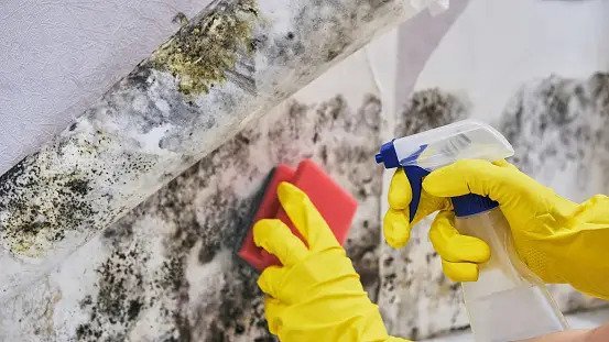 Warning signs of mold toxicity