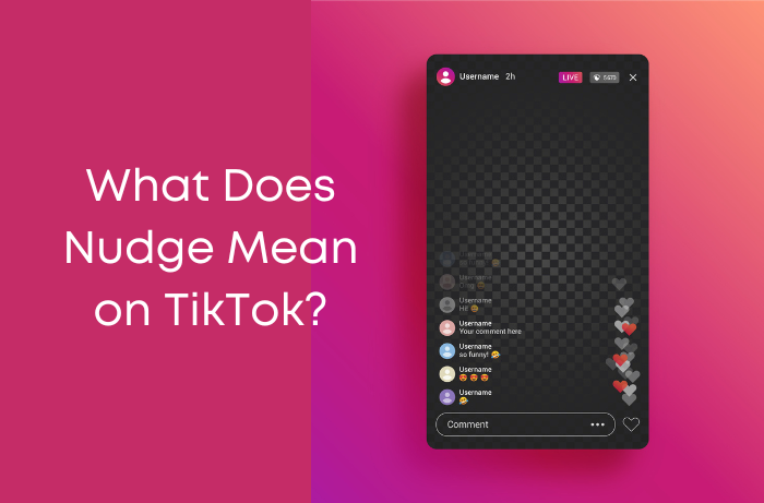 What does nudge mean on tiktok