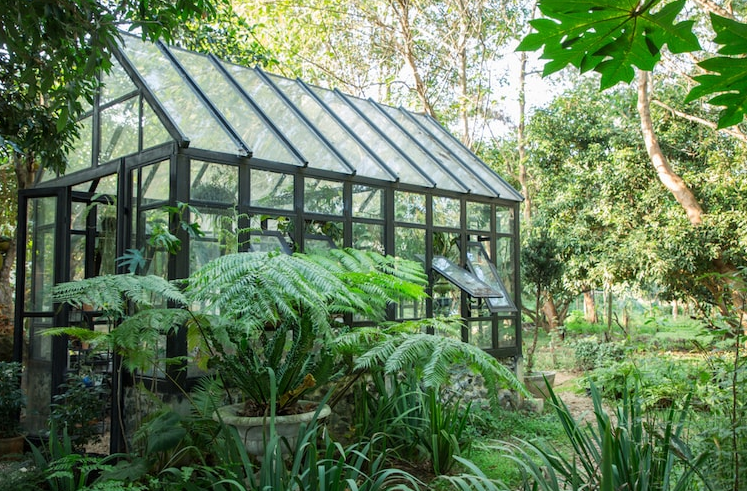 9 Things to Consider When Shopping for Greenhouses for Sale